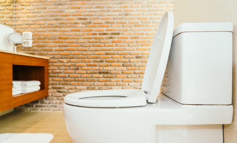 5 dicas para escolher o assento de sanitário ideal